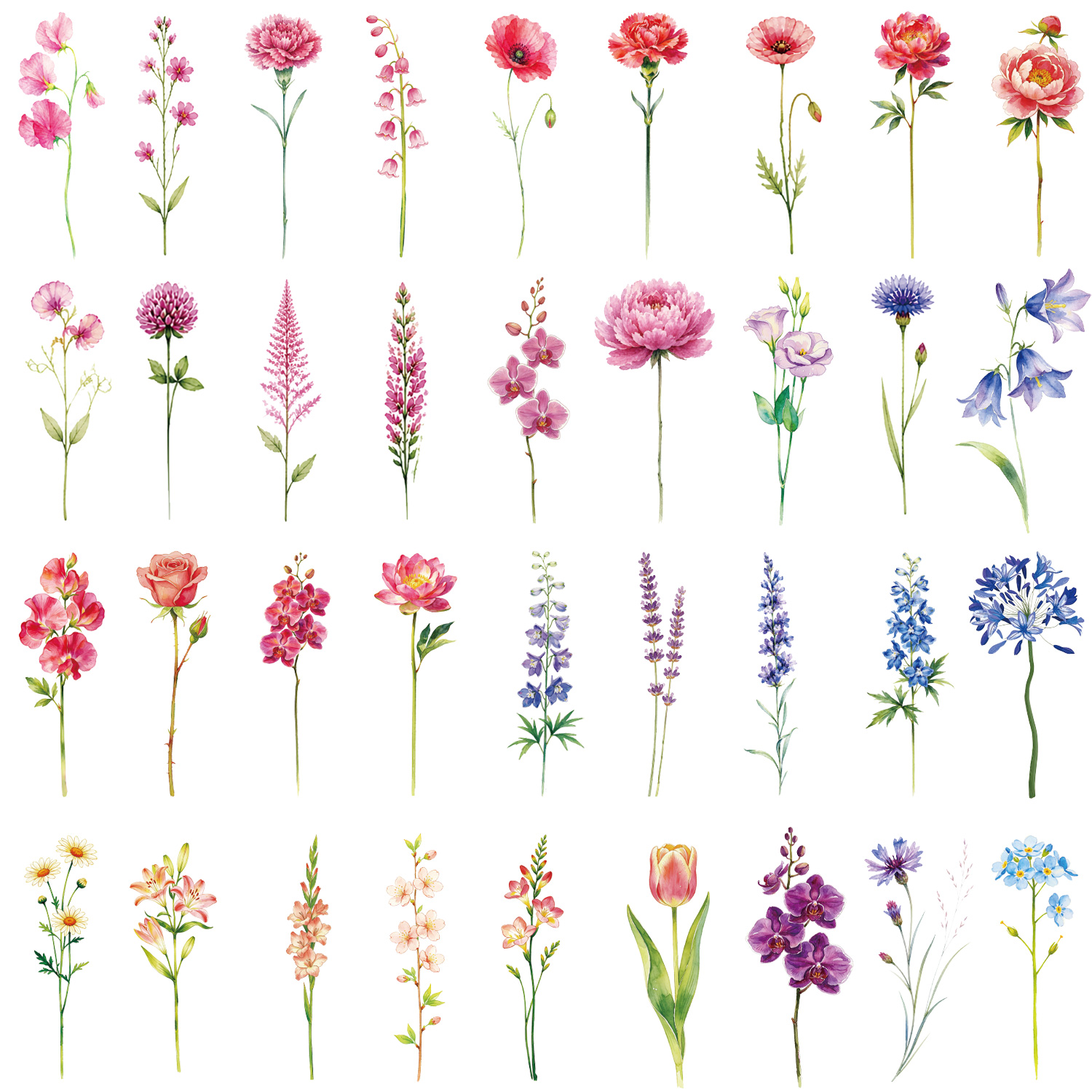 Body Jewelry Tattoo - 12 Sheets Watercolor Flower Lavender Temporary