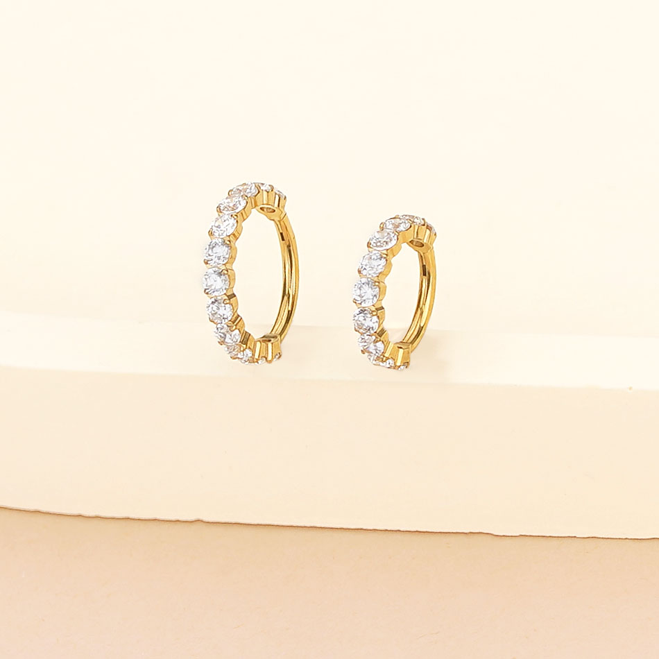 1PC Titanium Hinged Segment No - Septum Clicker Ring 评论和价格