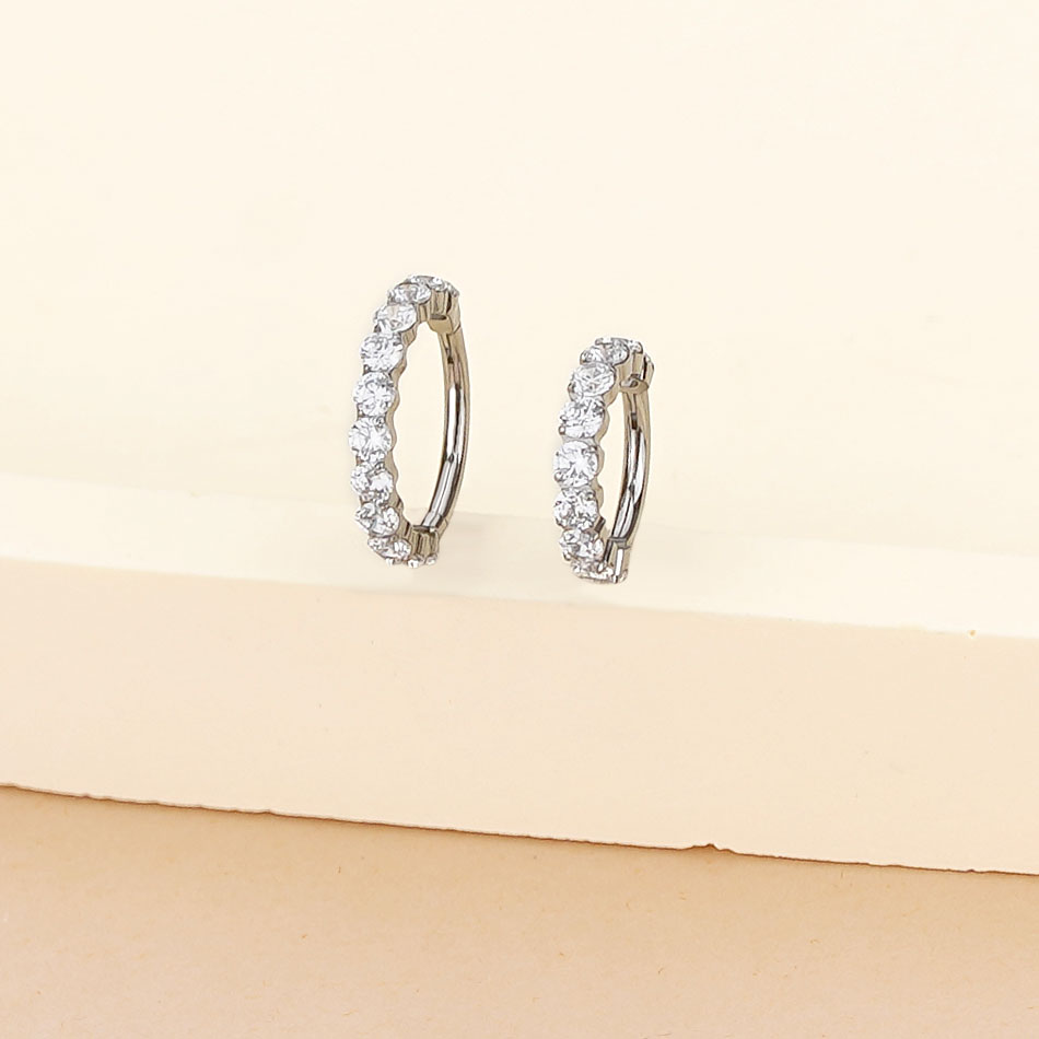 1PC Titanium Hinged Segment No - Septum Clicker Ring 评论和价格